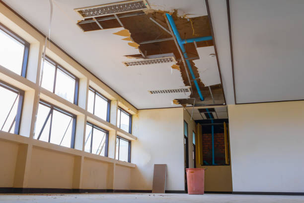 Best Ceiling water damage repair  in Moon Lake, FL