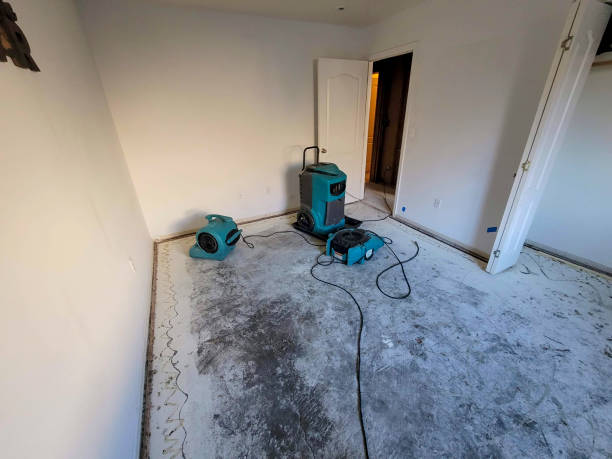 Best Flood restoration services  in Moon Lake, FL