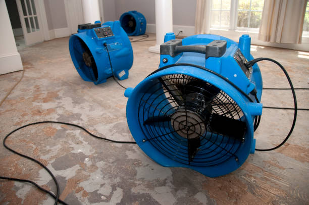 Best 24/7 water damage repair  in Moon Lake, FL