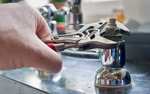 Best Mold removal after water damage  in Moon Lake, FL