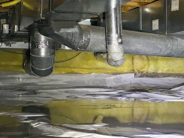 Best Flooded house restoration  in Moon Lake, FL