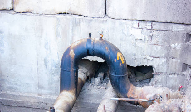 Best Water damage contractors near me  in Moon Lake, FL