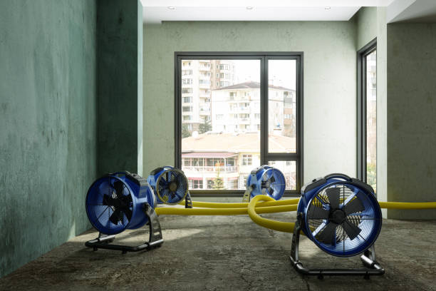 Best Residential water damage restoration  in Moon Lake, FL